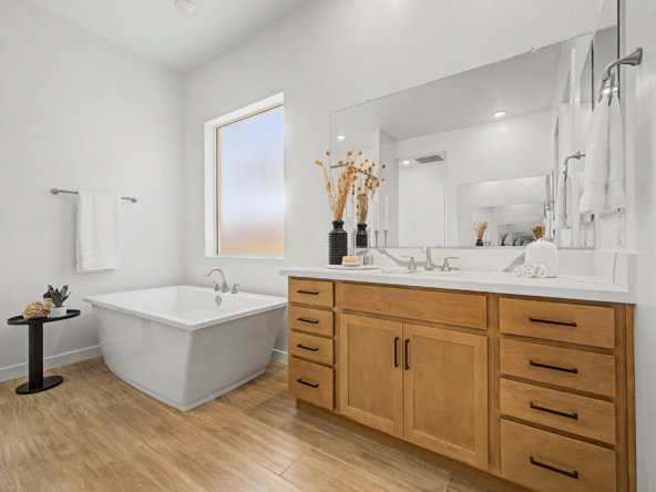 Tranquility RV Plan Master Bathroom vanity and tub