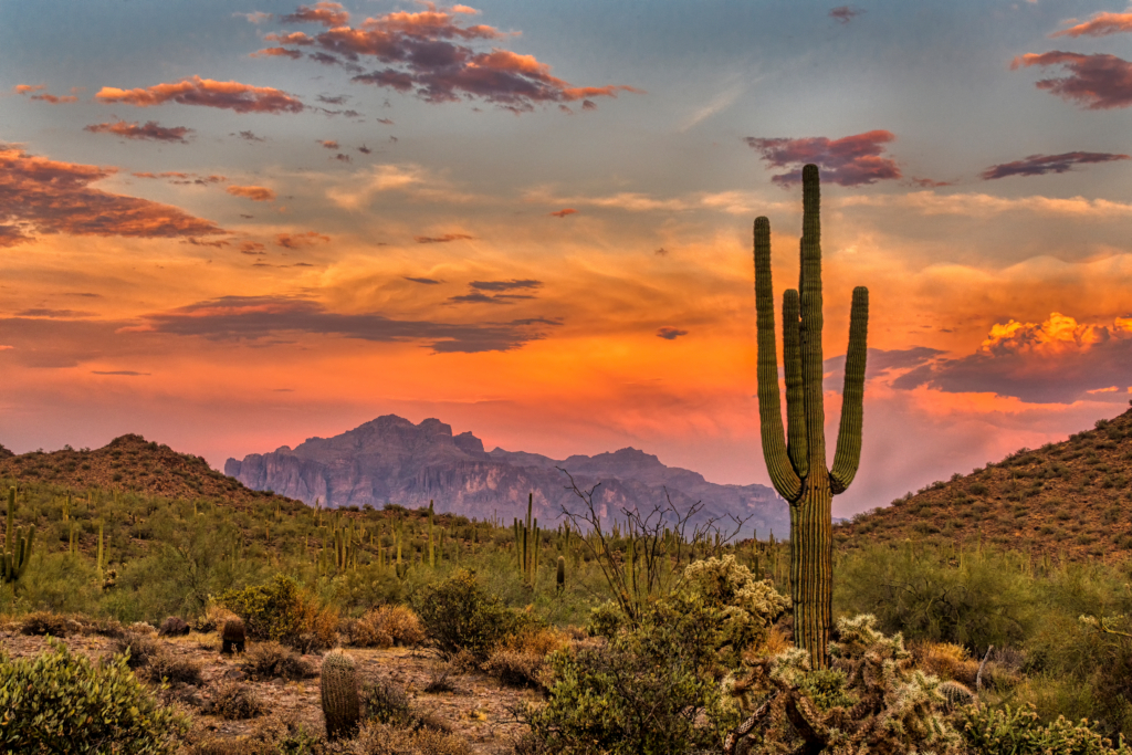 A rainbow colored sunset over the sonoran desert with saguaro cactus seen